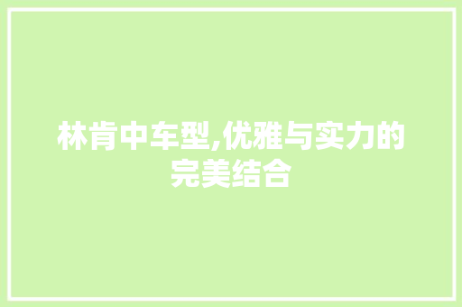 林肯中车型,优雅与实力的完美结合 新款车型