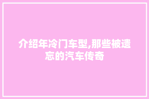 介绍年冷门车型,那些被遗忘的汽车传奇