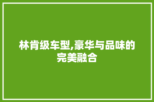 林肯级车型,豪华与品味的完美融合