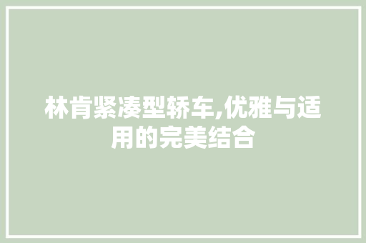 林肯紧凑型轿车,优雅与适用的完美结合