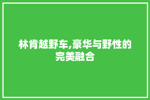 林肯越野车,豪华与野性的完美融合