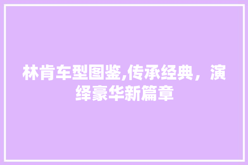 林肯车型图鉴,传承经典，演绎豪华新篇章