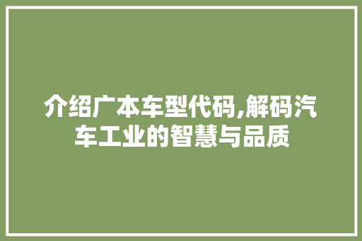 介绍广本车型代码,解码汽车工业的智慧与品质