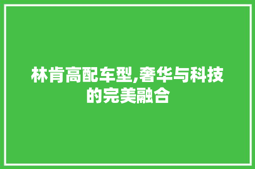 林肯高配车型,奢华与科技的完美融合 底盘配件