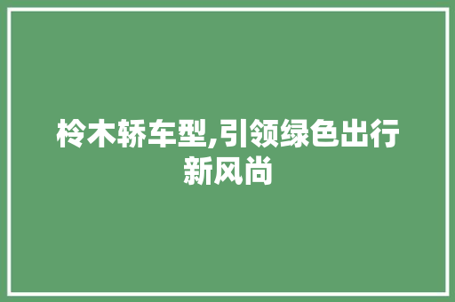 柃木轿车型,引领绿色出行新风尚
