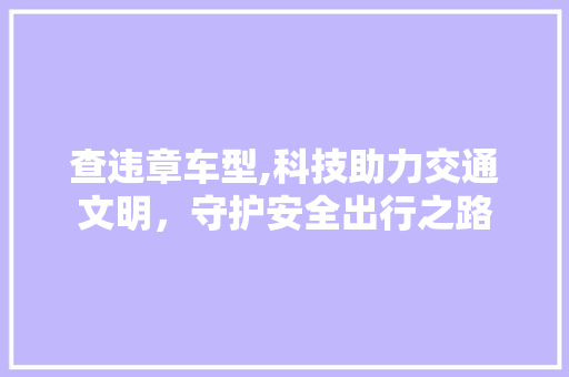 查违章车型,科技助力交通文明，守护安全出行之路