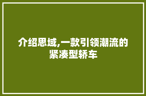 介绍思域,一款引领潮流的紧凑型轿车