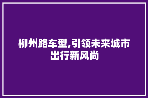 柳州路车型,引领未来城市出行新风尚