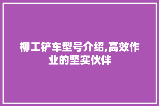 柳工铲车型号介绍,高效作业的坚实伙伴