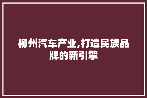 柳州汽车产业,打造民族品牌的新引擎