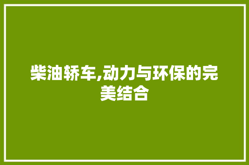 柴油轿车,动力与环保的完美结合