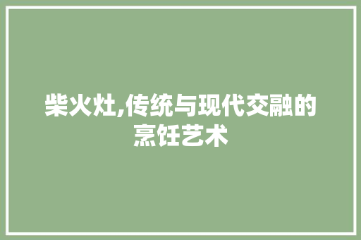 柴火灶,传统与现代交融的烹饪艺术