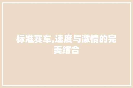 标准赛车,速度与激情的完美结合