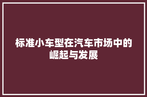 标准小车型在汽车市场中的崛起与发展
