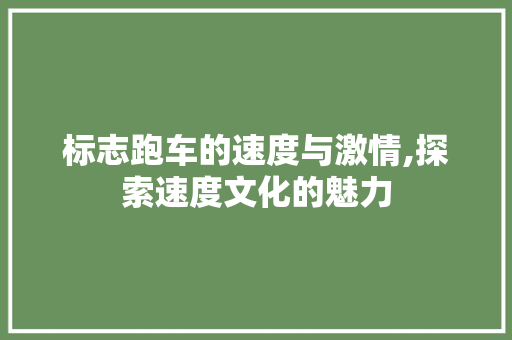 标志跑车的速度与激情,探索速度文化的魅力