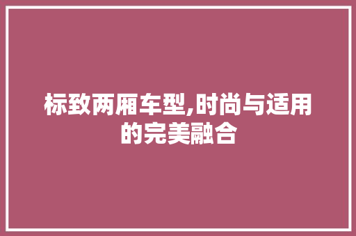 标致两厢车型,时尚与适用的完美融合