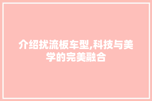 介绍扰流板车型,科技与美学的完美融合