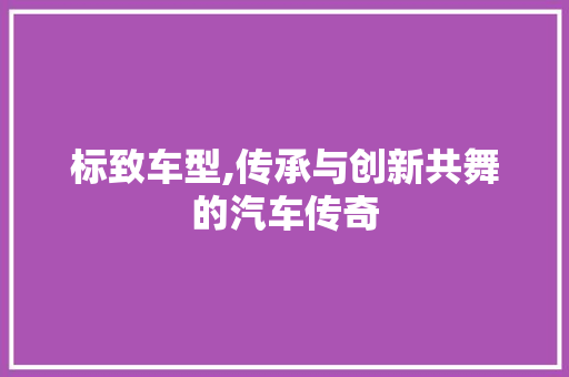 标致车型,传承与创新共舞的汽车传奇