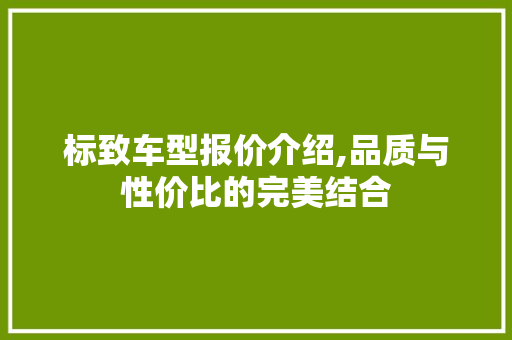 标致车型报价介绍,品质与性价比的完美结合 车灯配件