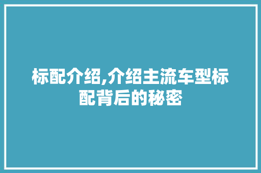标配介绍,介绍主流车型标配背后的秘密