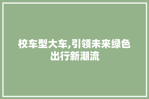 校车型大车,引领未来绿色出行新潮流