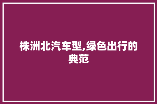 株洲北汽车型,绿色出行的典范