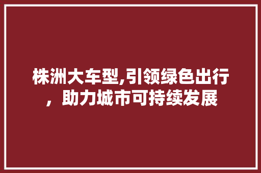 株洲大车型,引领绿色出行，助力城市可持续发展