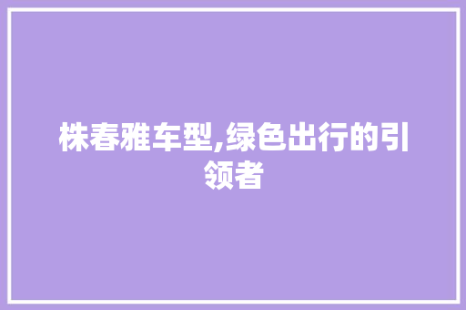 株春雅车型,绿色出行的引领者