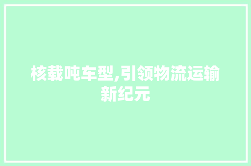 核载吨车型,引领物流运输新纪元