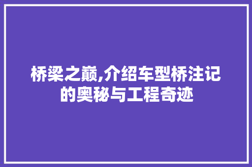 桥梁之巅,介绍车型桥注记的奥秘与工程奇迹