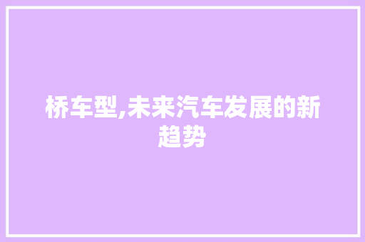 桥车型,未来汽车发展的新趋势