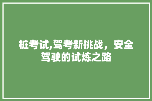 桩考试,驾考新挑战，安全驾驶的试炼之路