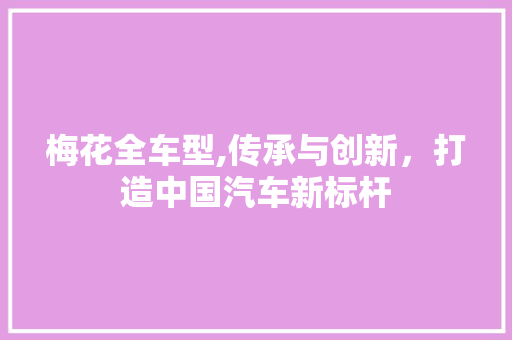 梅花全车型,传承与创新，打造中国汽车新标杆