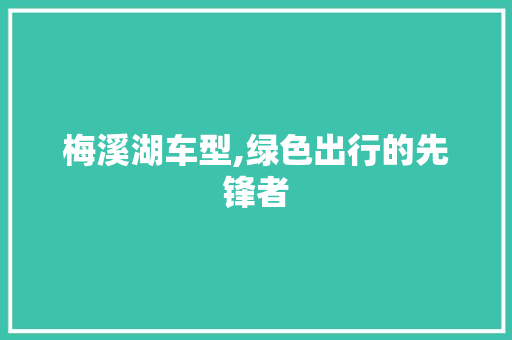 梅溪湖车型,绿色出行的先锋者