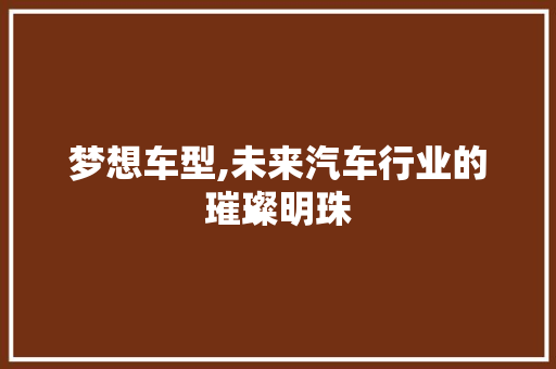 梦想车型,未来汽车行业的璀璨明珠