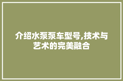介绍水泵泵车型号,技术与艺术的完美融合