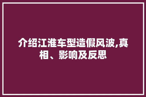 介绍江淮车型造假风波,真相、影响及反思