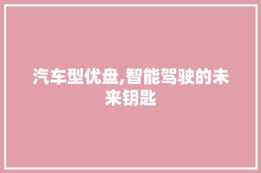 汽车型优盘,智能驾驶的未来钥匙 汽车配件