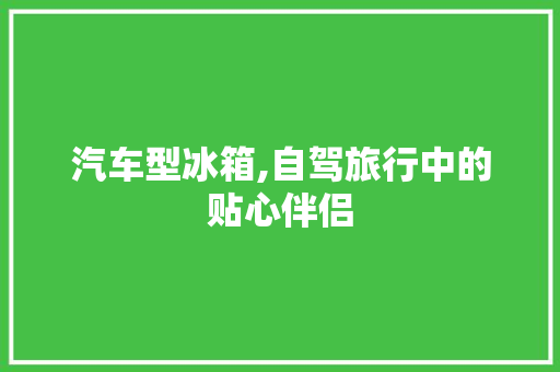 汽车型冰箱,自驾旅行中的贴心伴侣
