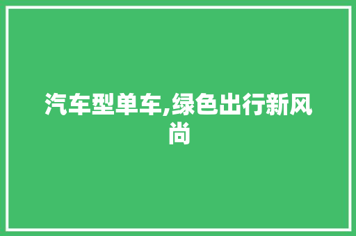 汽车型单车,绿色出行新风尚