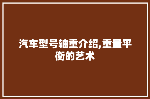 汽车型号轴重介绍,重量平衡的艺术