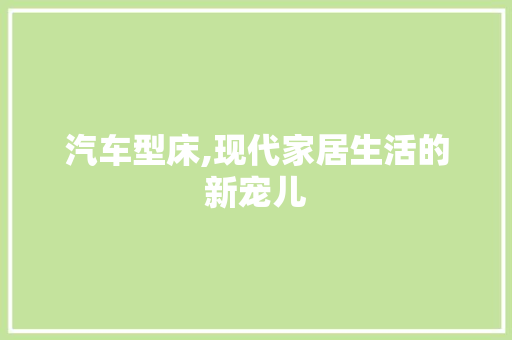 汽车型床,现代家居生活的新宠儿