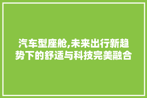 汽车型座舱,未来出行新趋势下的舒适与科技完美融合
