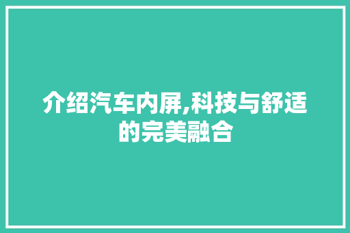 介绍汽车内屏,科技与舒适的完美融合