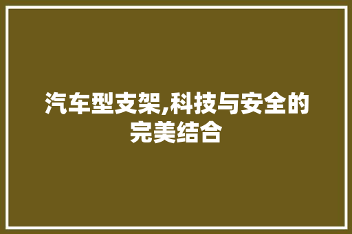 汽车型支架,科技与安全的完美结合