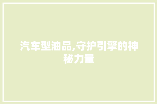 汽车型油品,守护引擎的神秘力量