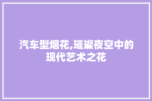 汽车型烟花,璀璨夜空中的现代艺术之花