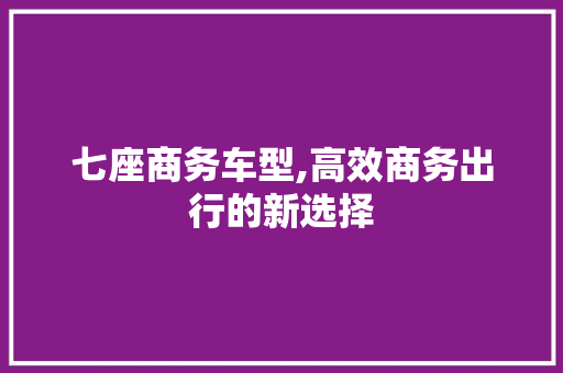 七座商务车型,高效商务出行的新选择