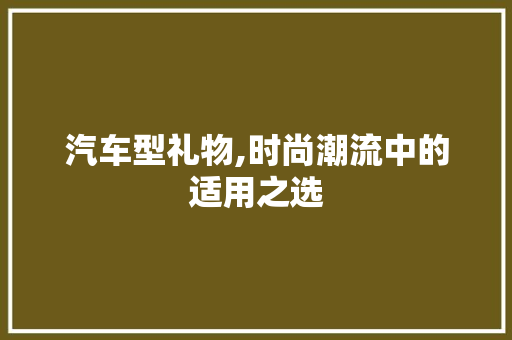 汽车型礼物,时尚潮流中的适用之选