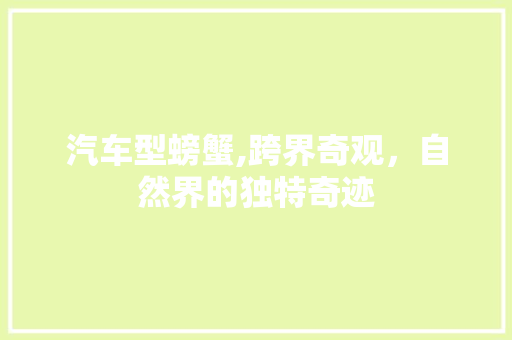 汽车型螃蟹,跨界奇观，自然界的独特奇迹 车身配件